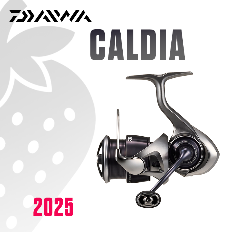Daiwa Reel Bg - DAIWA 2025 CALDIA LT Reel Pancing